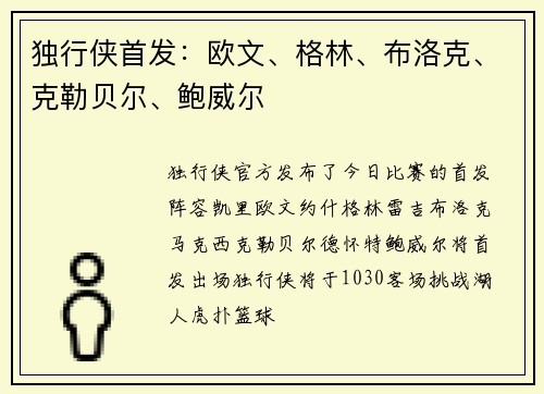 独行侠首发:欧文、格林、布洛克、克勒贝尔、鲍威尔